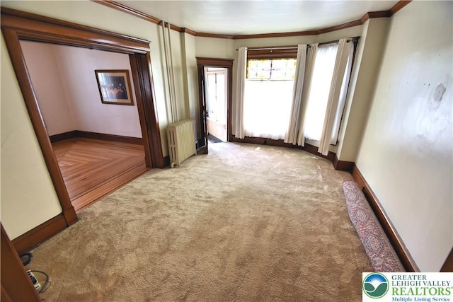 107 N Schanck Ave, Pen Argyl Boro, PA 18072 - spare room with radiator heating unit, light carpet, and crown molding