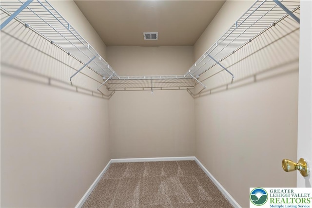 9 Stone Crk, Palmer Twp, PA 18045 - spacious closet with carpet