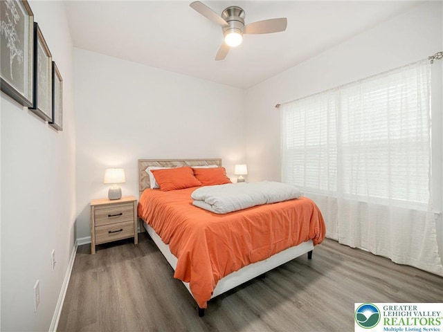 317 Fairview Ave, Wind Gap Boro, PA 18091 - bedroom featuring wood finished floors and ceiling fan