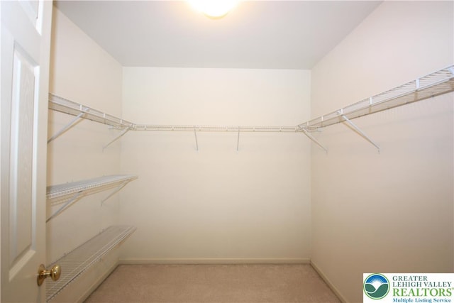 3814 Clay Dr, Lower Macungie Twp, PA 18062 - spacious closet with light colored carpet