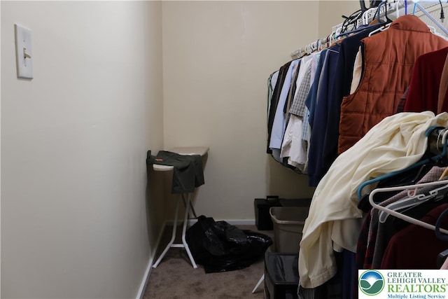 1533 E Emmaus, Salisbury Twp, PA 18103 - walk in closet with carpet floors