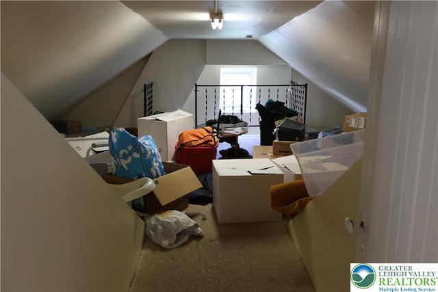 1533 E Emmaus, Salisbury Twp, PA 18103 - bonus room with vaulted ceiling and carpet