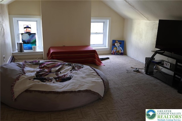 1533 E Emmaus, Salisbury Twp, PA 18103 - bedroom featuring lofted ceiling and carpet floors
