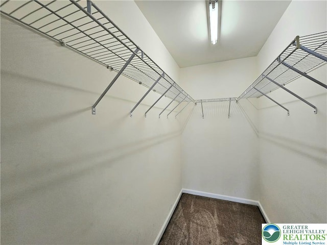 312 Maple Ct, Alburtis Boro, PA 18011 - walk in closet featuring carpet floors