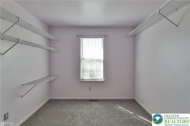 1862 Georgia Dr, Whitehall Twp, PA 18052 - photo 39