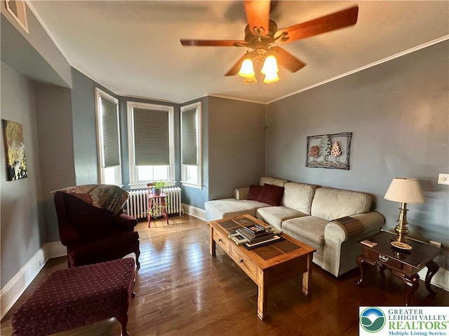 218 3rd, Lehighton Boro, PA 18235 - living area featuring radiator, ceiling fan, wood finished floors, and crown molding