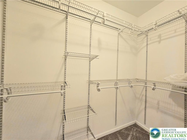 15 Devonshire Dr, Palmer Twp, PA 18045 - walk in closet featuring dark colored carpet