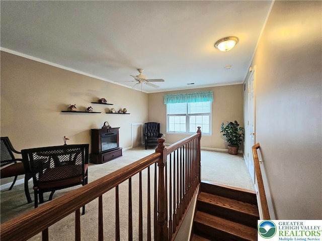 15 Devonshire Dr, Palmer Twp, PA 18045 - stairs featuring carpet, crown molding, a ceiling fan, and a wood stove