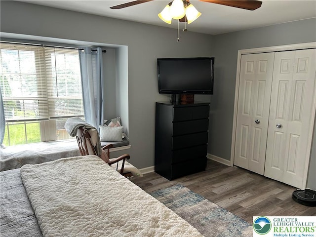 359 2nd, Alburtis Boro, PA 18011 - bedroom featuring multiple windows, wood finished floors, and a closet