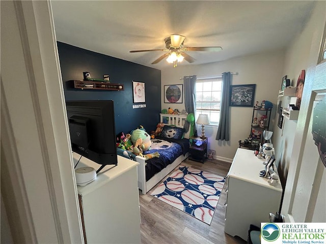 359 2nd, Alburtis Boro, PA 18011 - bedroom with light wood finished floors and ceiling fan