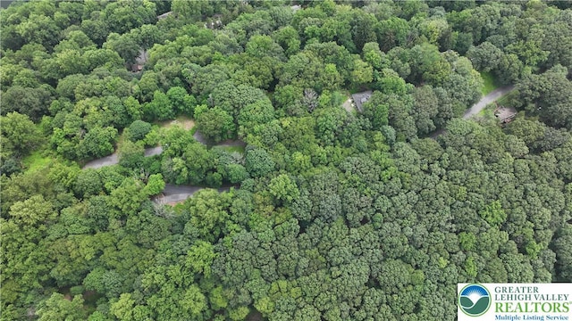 305 Shawnee Ave, Easton, PA 18042 - drone / aerial view of a heavily wooded area