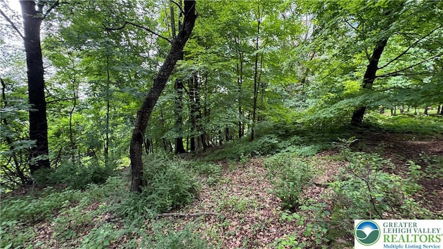 305 Shawnee Ave, Easton, PA 18042 - view of woods