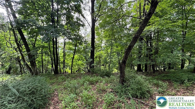 305 Shawnee Ave, Easton, PA 18042 - view of woods