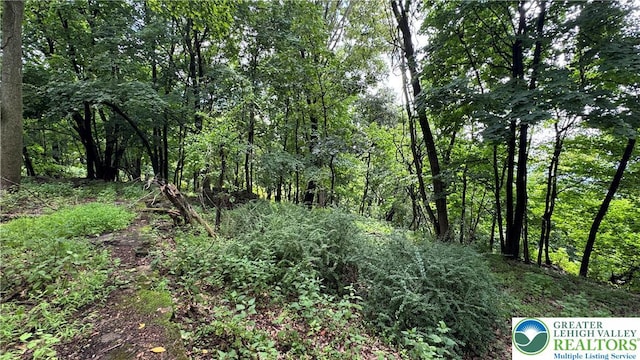 305 Shawnee Ave, Easton, PA 18042 - view of tree filled area