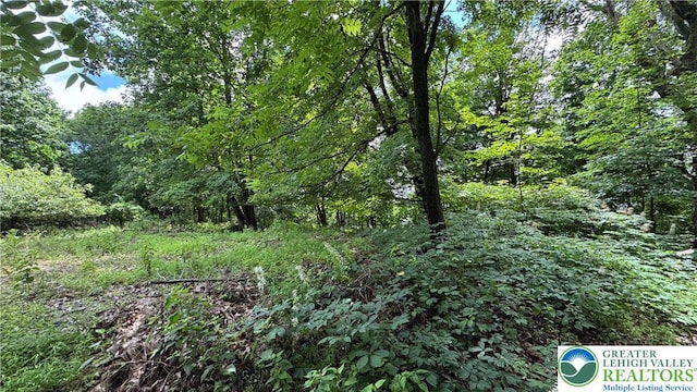 305 Shawnee Ave, Easton, PA 18042 - view of woods