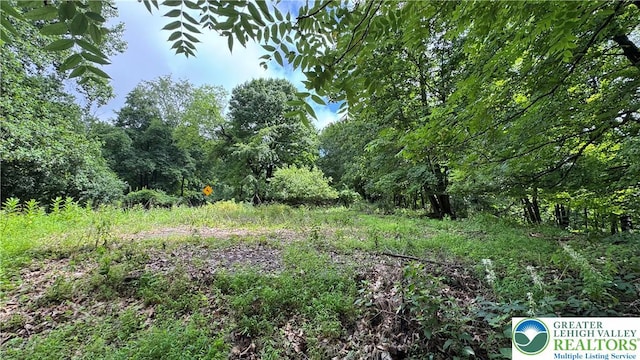305 Shawnee Ave, Easton, PA 18042 - view of tree filled area