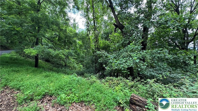 305 Shawnee Ave, Easton, PA 18042 - view of tree filled area