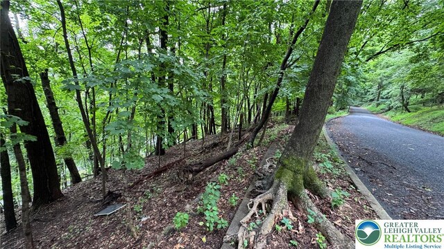305 Shawnee Ave, Easton, PA 18042 - view of tree filled area