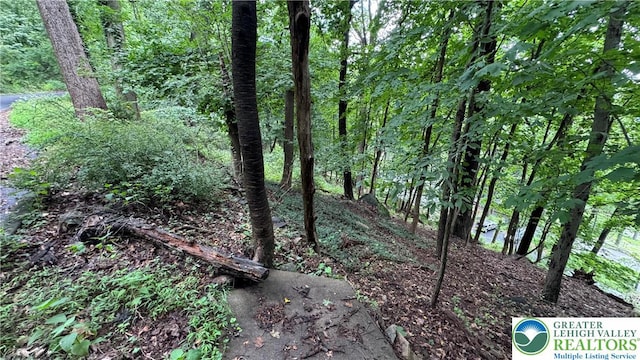 305 Shawnee Ave, Easton, PA 18042 - view of tree filled area