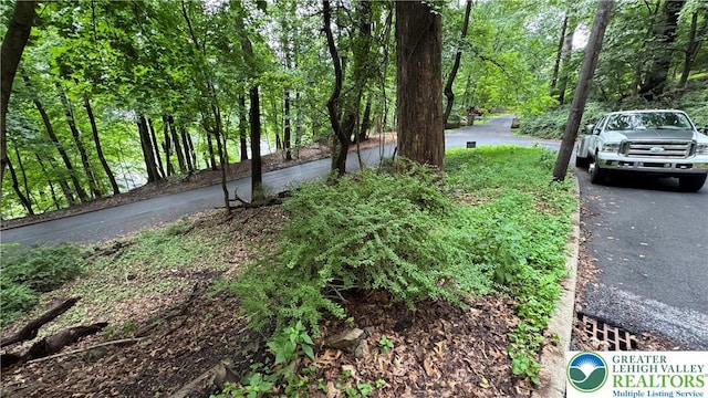 305 Shawnee Ave, Easton, PA 18042 - view of street