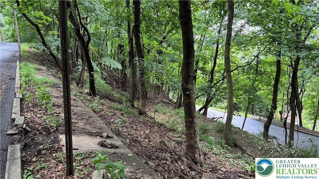 305 Shawnee Ave, Easton, PA 18042 - view of nature