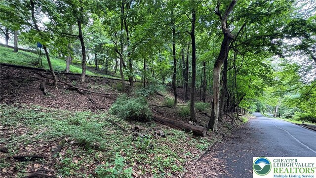 305 Shawnee Ave, Easton, PA 18042 - view of wooded area