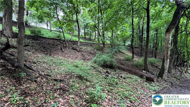 305 Shawnee Ave, Easton, PA 18042 - view of local wilderness