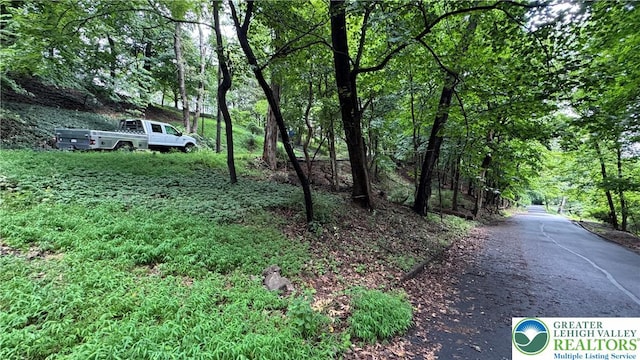 305 Shawnee Ave, Easton, PA 18042 - view of asphalt street with a wooded view