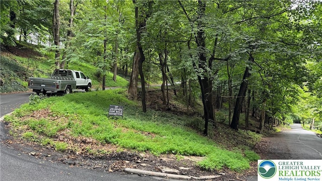 305 Shawnee Ave, Easton, PA 18042 - view of asphalt street featuring a forest view