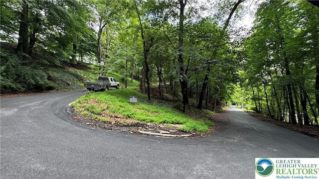 305 Shawnee Ave, Easton, PA 18042 - view of asphalt road with a forest view