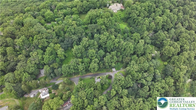 305 Shawnee Ave, Easton, PA 18042 - aerial view of property and surrounding area featuring a forest
