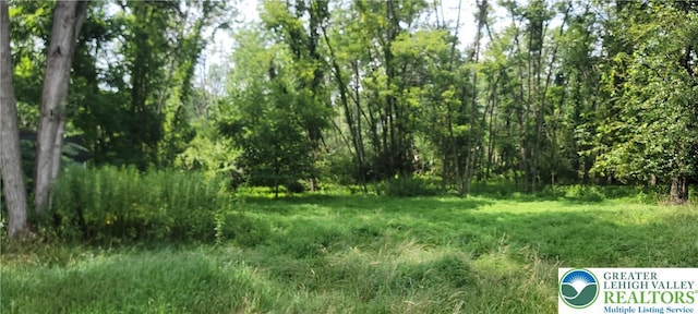 429 Brick Church Rd, Hamilton Twp, PA 18353 - photo 2