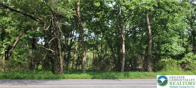 429 Brick Church Rd, Hamilton Twp, PA 18353 - photo 4