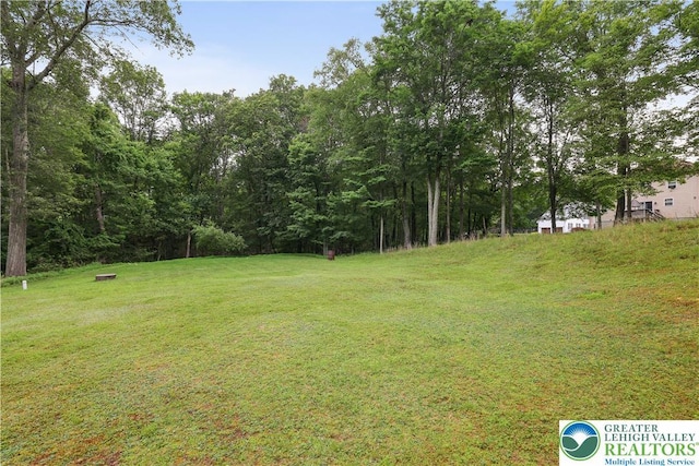 303 Lakefield Ter, Jackson Twp, PA 18360 - view of green lawn