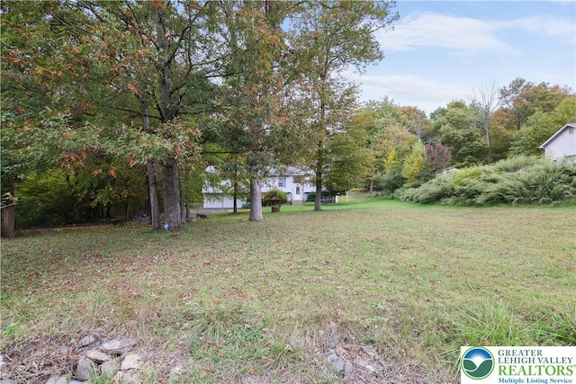 303 Lakefield Ter, Jackson Twp, PA 18360 - view of green lawn