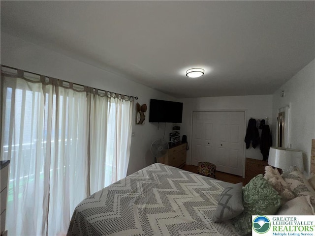 532 6th St, Whitehall Twp, PA 18052 - bedroom with a closet