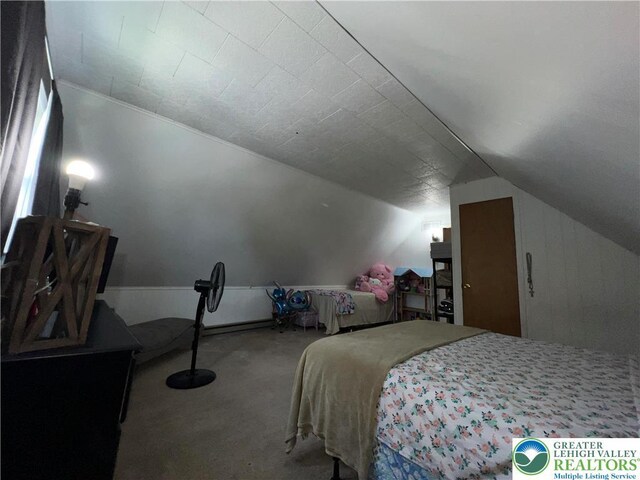 532 6th St, Whitehall Twp, PA 18052 - carpeted bedroom featuring lofted ceiling