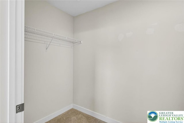 4244 Cypress Ln, Whitehall Twp, PA 18052 - photo 15