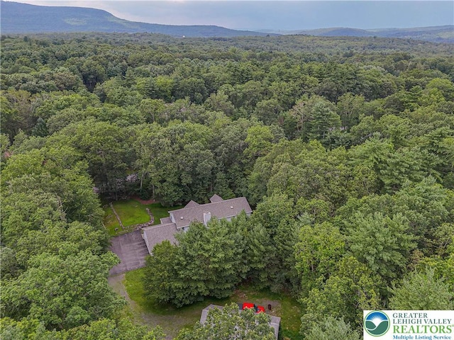 3811 Foxborough Ct, Jackson Twp, PA 18360 - photo 80