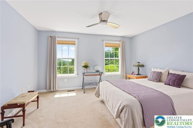 7451 Mount Vernon Dr, Upper Milford Twp, PA 18092 - photo 35