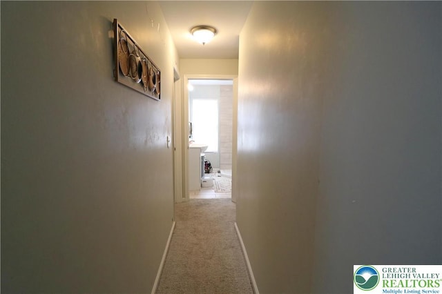 532 Centre St, Easton, PA 18042 - photo 26