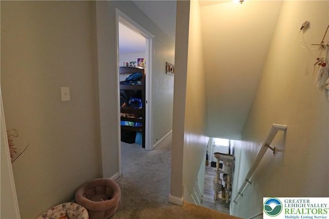 532 Centre St, Easton, PA 18042 - photo 18