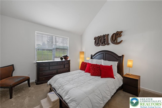 767 Swallow Tail Ln, Upper Macungie Twp, PA 18031 - photo 14