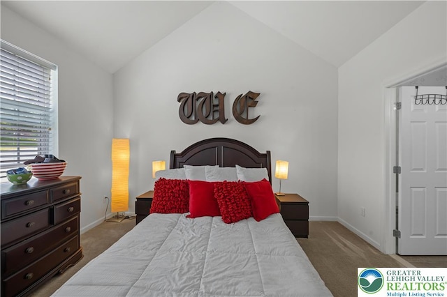 767 Swallow Tail Ln, Upper Macungie Twp, PA 18031 - photo 15