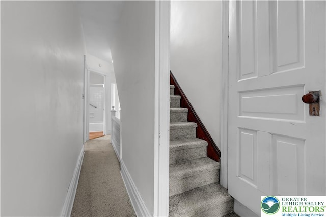 325 Franklin St, Allentown City, PA 18102 - photo 23
