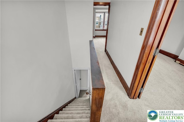 325 Franklin St, Allentown City, PA 18102 - photo 24