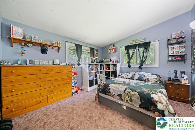 1540 Tatamy Rd, Palmer Twp, PA 18045 - photo 13