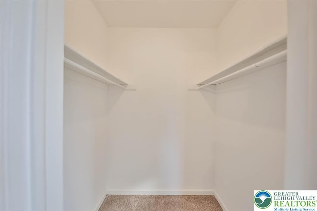 1516 W Tremont St, Allentown City, PA 18102 - photo 25