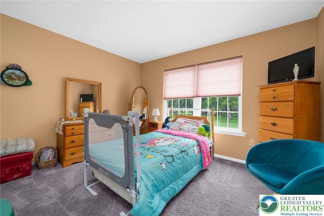 6336 Opossum Ln, Washington Twp, PA 18080 - photo 23