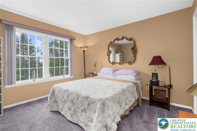 6336 Opossum Ln, Washington Twp, PA 18080 - photo 22